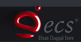 ecs shoes logo