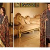 Shaista Cloths Velvet Wool And Pure Shamose Winter Collection 2016…styloplanet (15)