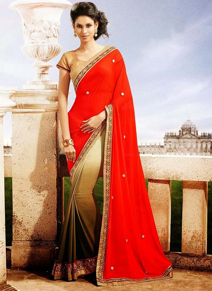 Pakistani & Indian Designers Party Wear Sarees Collection 2016-2107 (20)