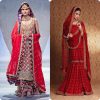 Latest Bridal Sharara Dresses Designs Collection for Wedding Brides 2016-2017 (11)