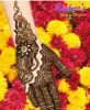 Kasshe’s Signature Mehndi Designs Collection for Eid 2016-2017 (7)