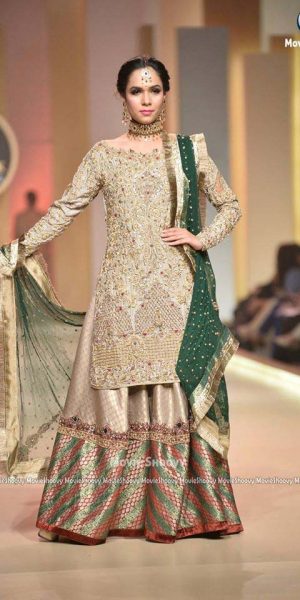 Aisha Fareed- mobile Hum Bridal Couture Week 2017 (3)