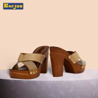 Borjan Shoes Latest Summer Collection for Women 2017-2018 (6)