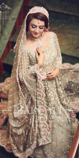 Pakistai Bridals Beautiful Walima Dresses 2017 Latest Trends (17)