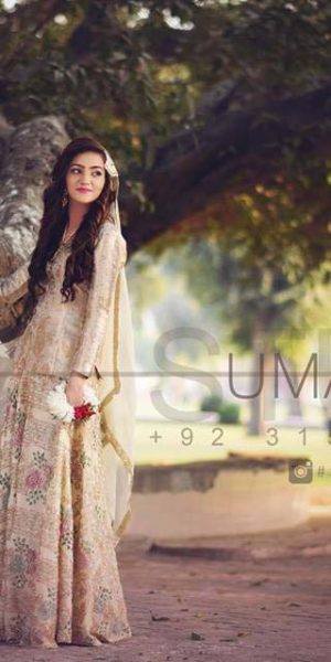 Pakistai Bridals Beautiful Walima Dresses 2017 Latest Trends (26)
