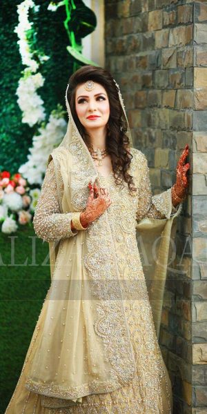 Pakistai Bridals Beautiful Walima Dresses 2017 Latest Trends (6)