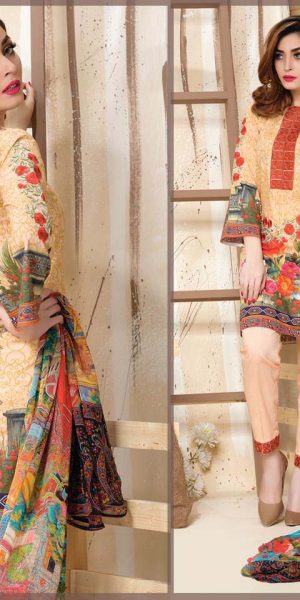 DLS Din LifeStyle Premium Winter Cambric Dresses Collection 2017-2018 (1)