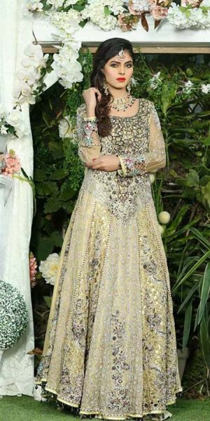 Aisha Imran Bridal and Formal Collection 2018-19 Changing The Fashion Standards Of Pakistan (10)