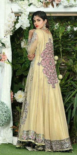 Aisha Imran Bridal and Formal Collection 2018-19 Changing The Fashion Standards Of Pakistan (11)