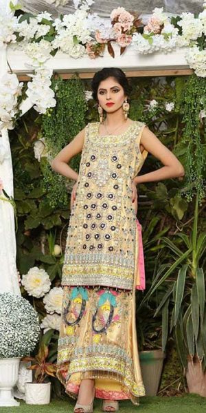Aisha Imran Bridal and Formal Collection 2018-19 Changing The Fashion Standards Of Pakistan (3)