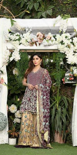 Aisha Imran Bridal and Formal Collection 2018-19 Changing The Fashion Standards Of Pakistan (6)