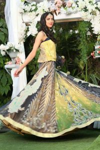 Aisha Imran Bridal and Formal Collection 2018-19 Changing The Fashion Standards Of Pakistan (9)